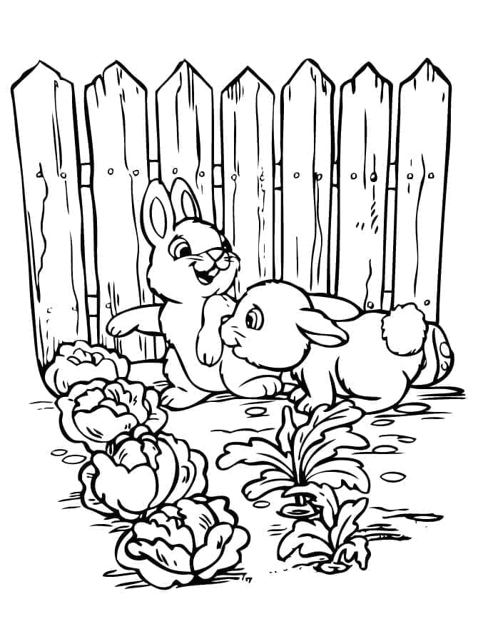 Kelinci di Kebun