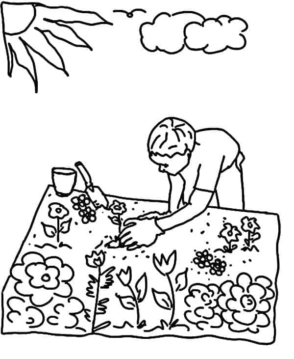 Sebuah Kebun