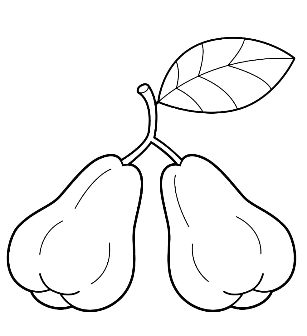 Dua Jambu Air