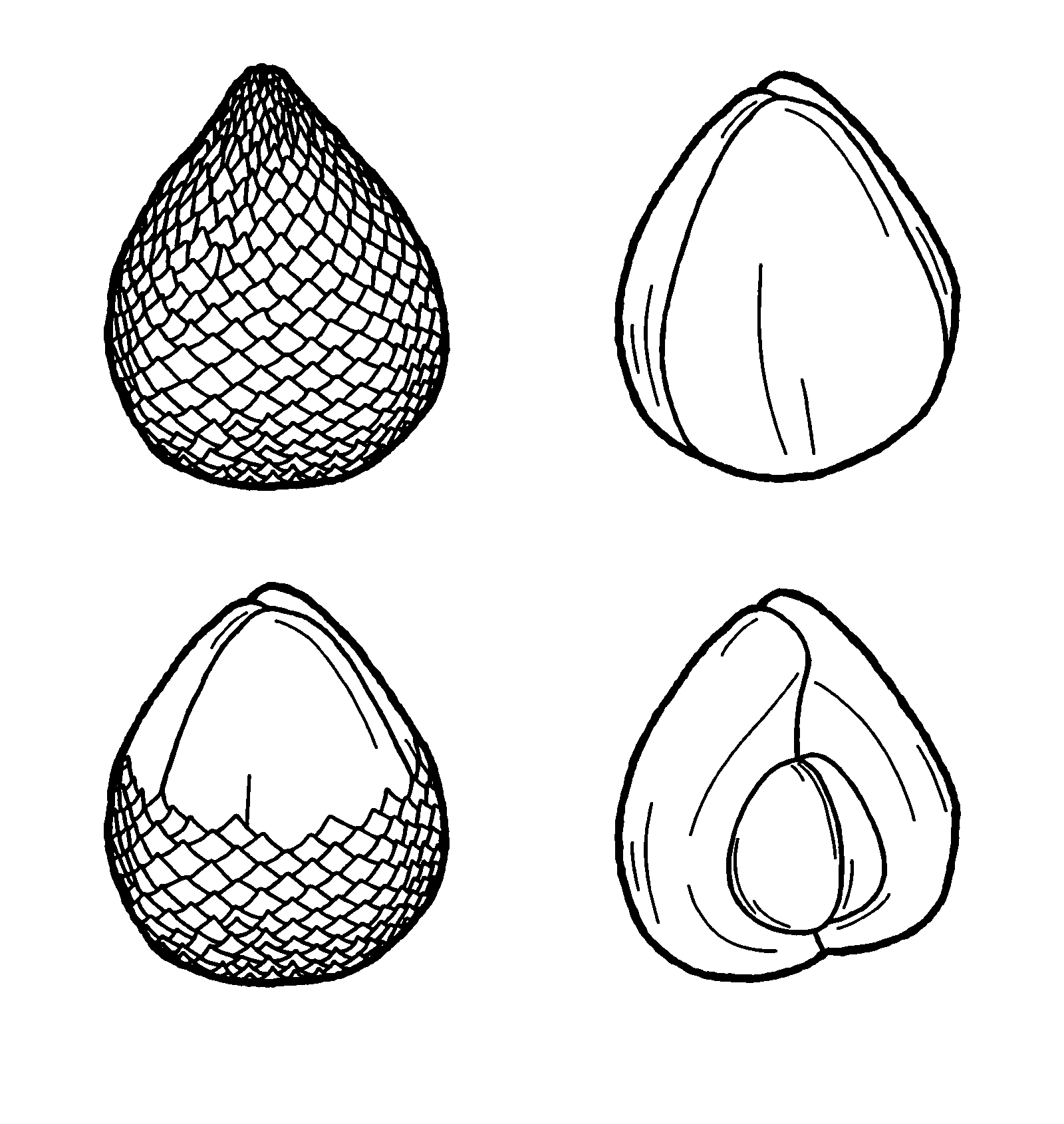 Empat Buah Salak