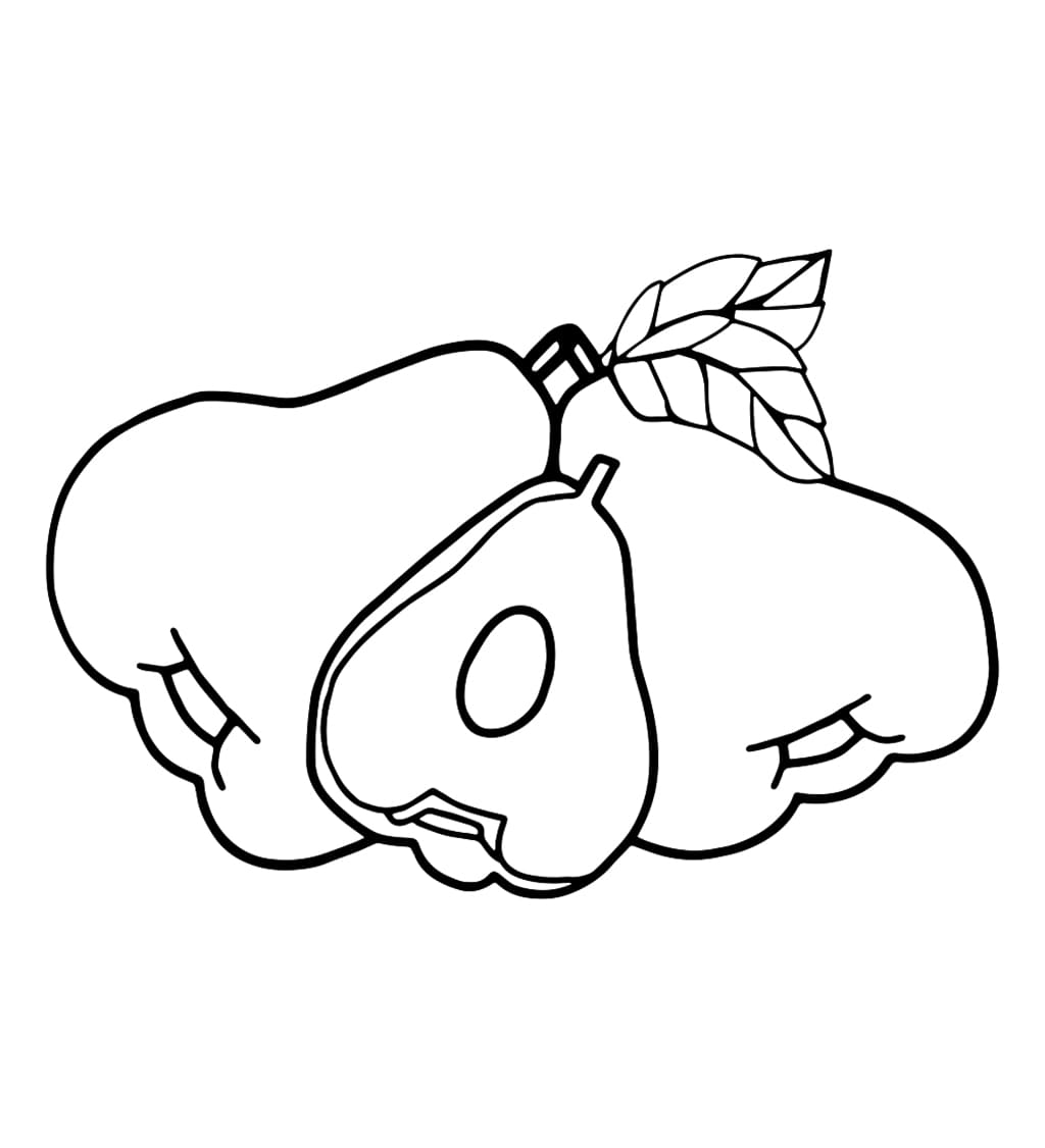 Sketsa Jambu Air