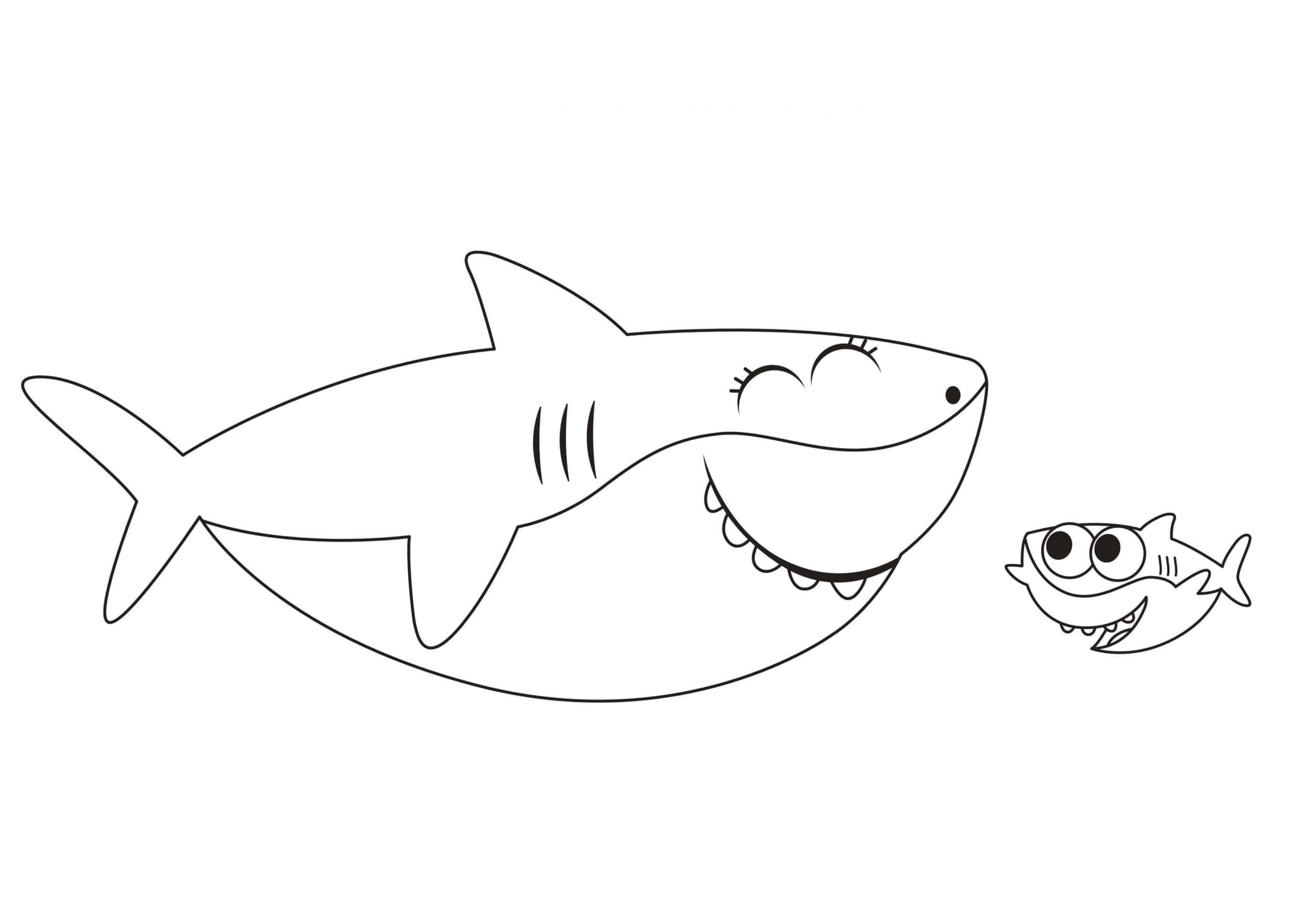 Baby Shark Bebas