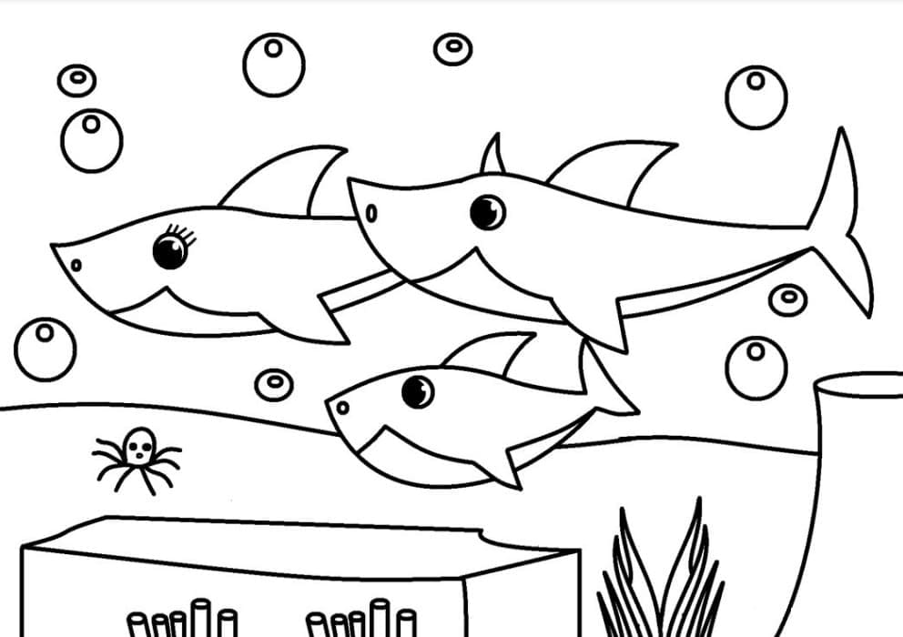 Baby Shark Gratis Untuk Anak-anak