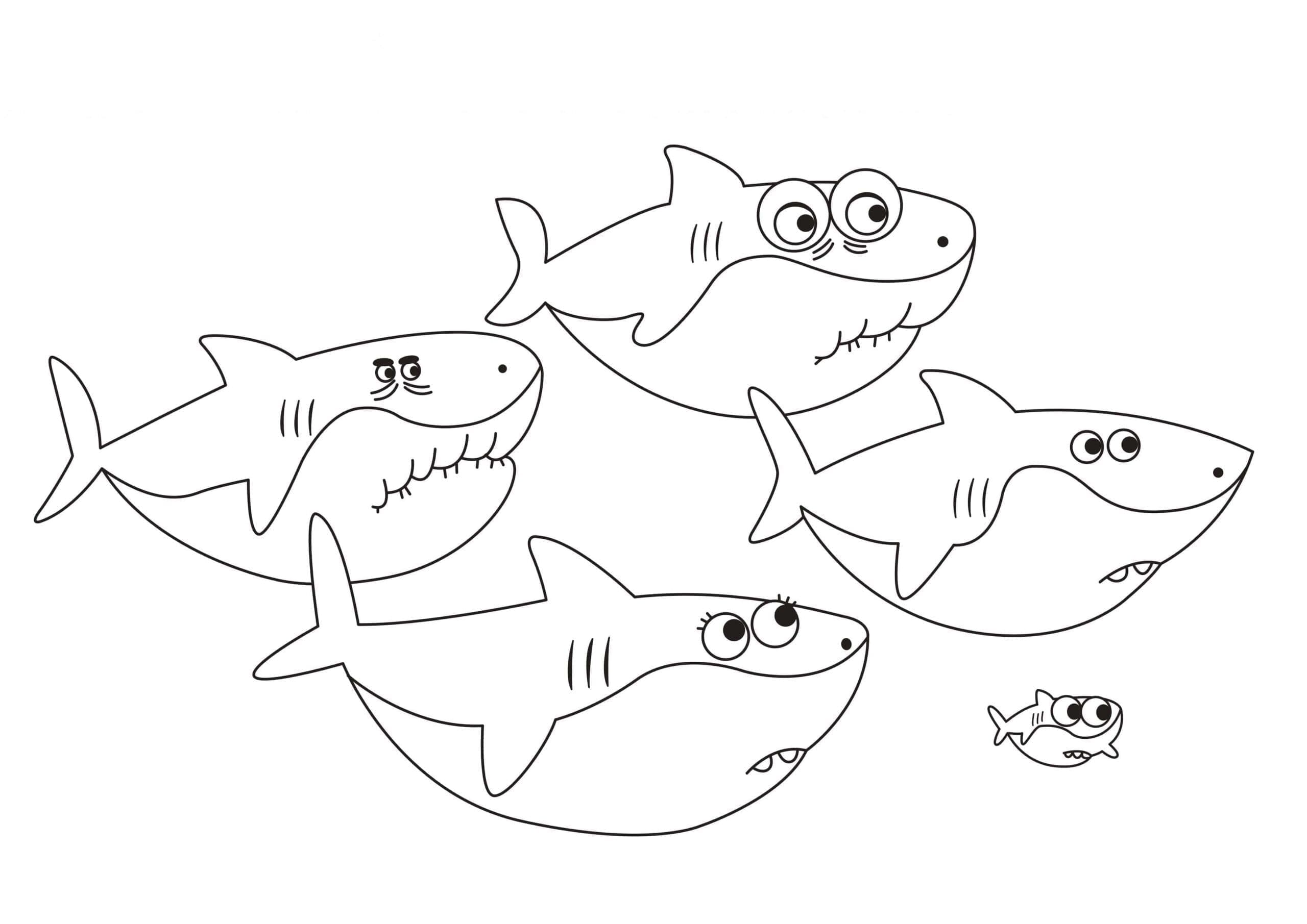 Baby Shark Lembaran