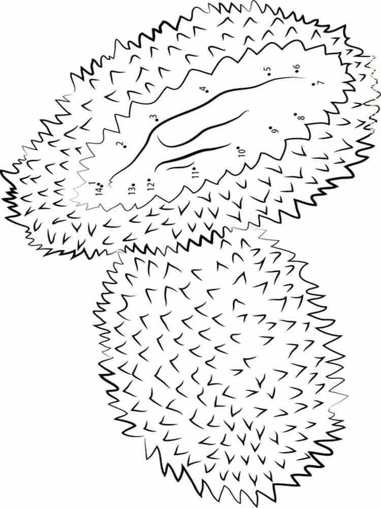 Dua Durian
