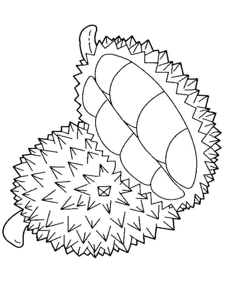 Durian dapat dicetak gratis