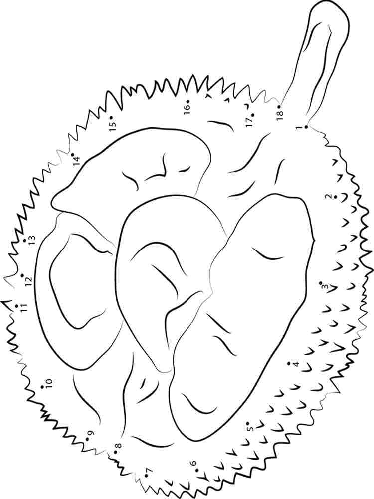 Durian sempurna