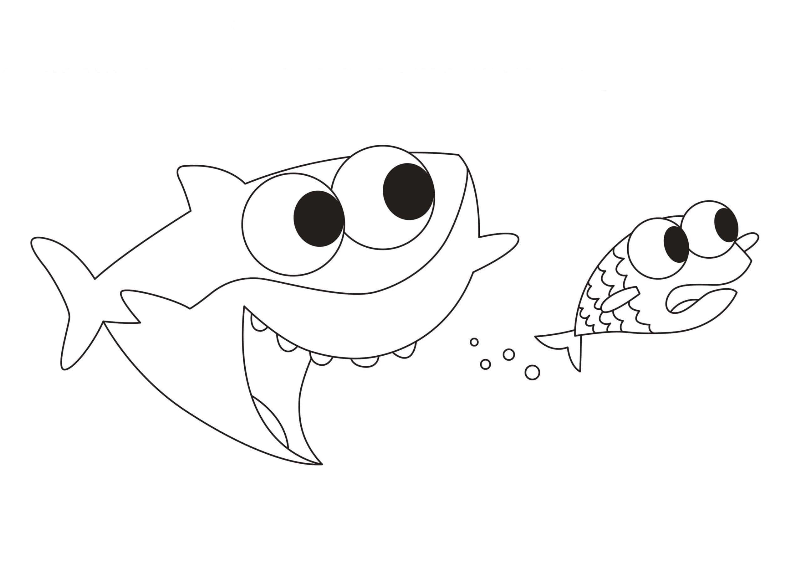 Gambar Baby Shark