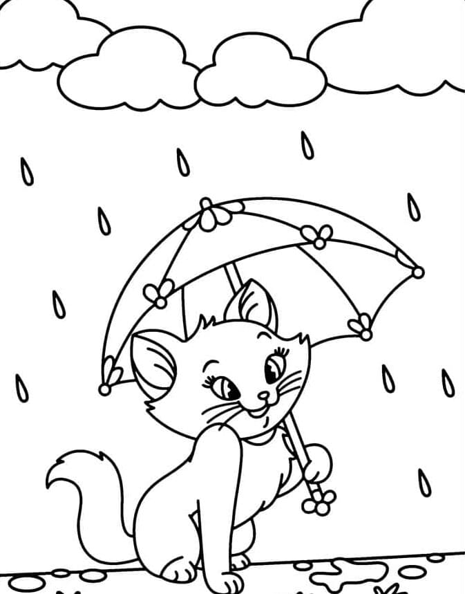 Kucing dan awan hujan