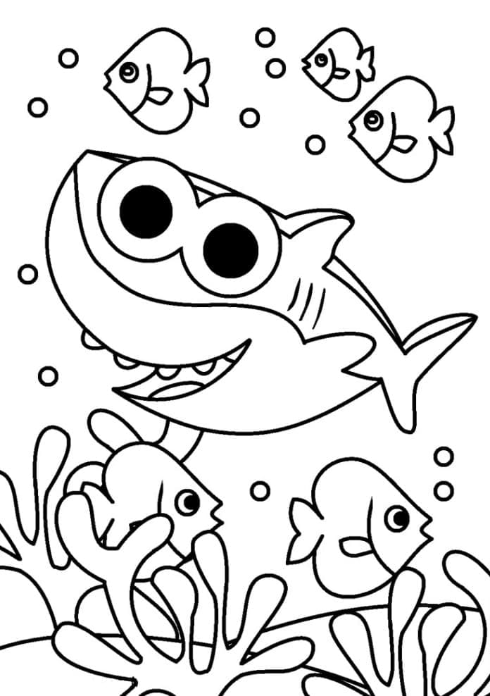 Renang Baby Shark
