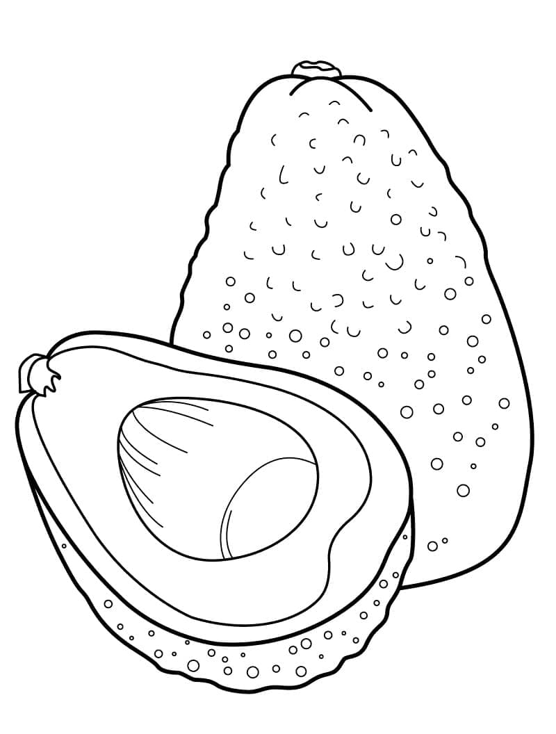 Buah Alpukat