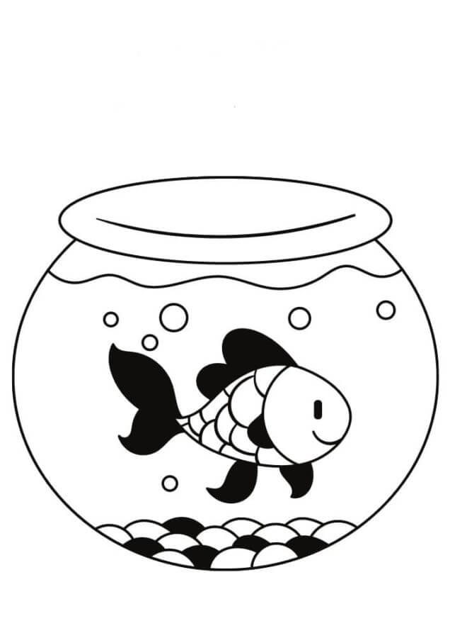 Ikan Bersisik di Akuarium