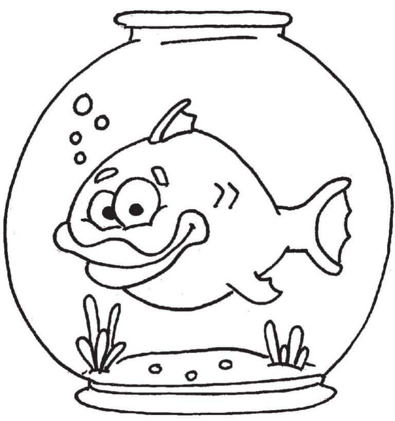 Ikan Besar di Akuarium