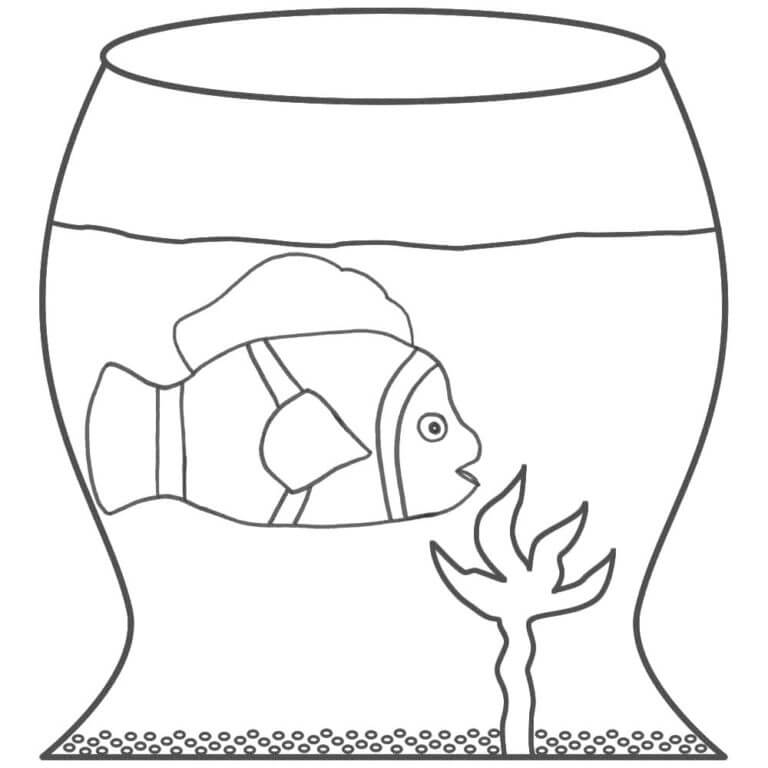 Ikan Dasar di Akuarium