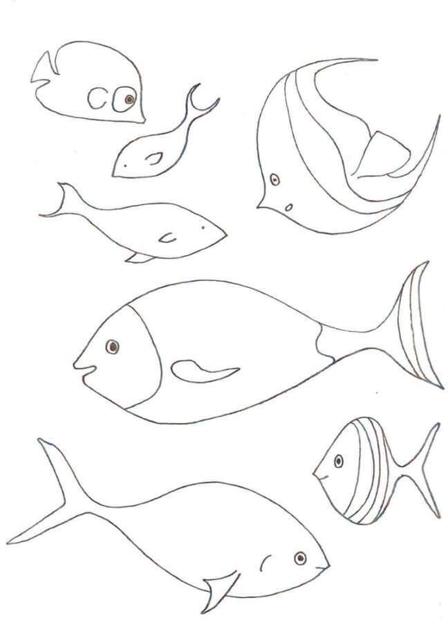 Ikan di Akuarium