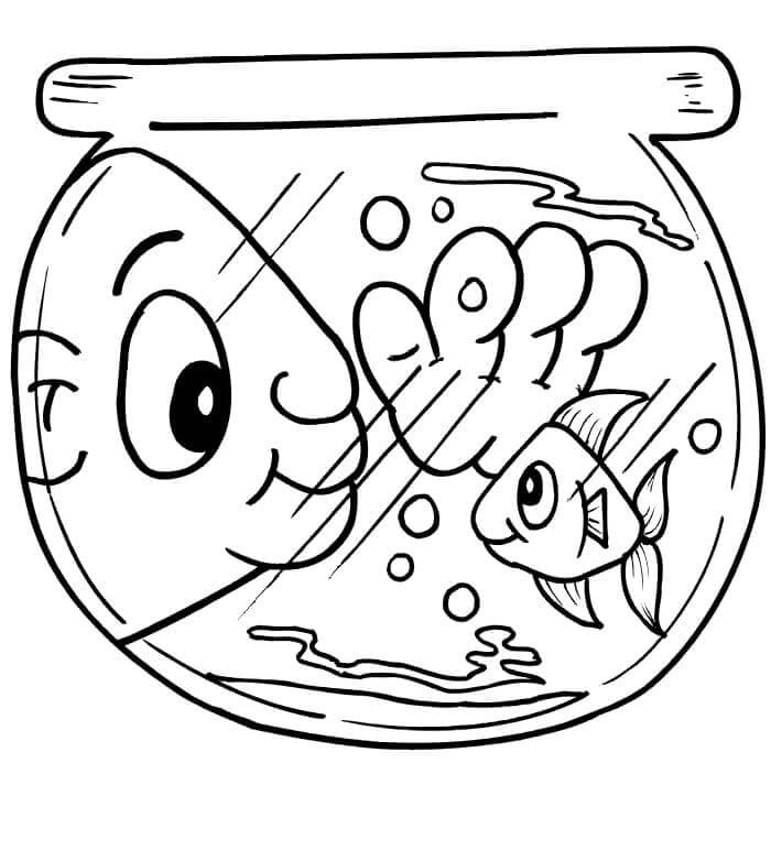 Ikan Lucu di Akuarium