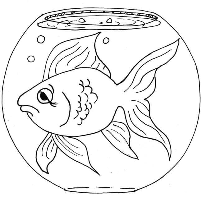 Ikan Sedih di Akuarium