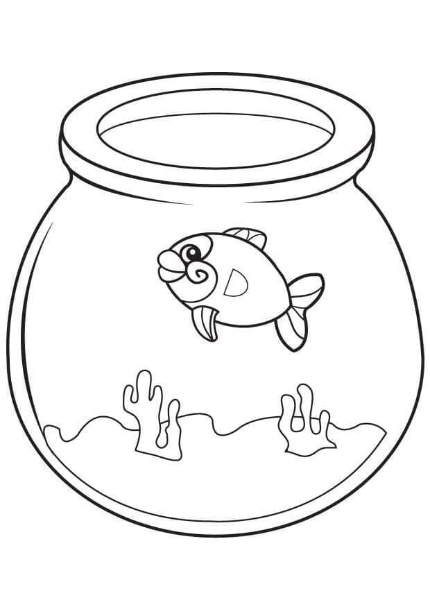 Ikan yang cantik di akuarium