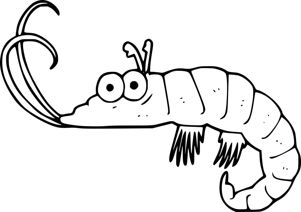 Kartun Udang Lucu