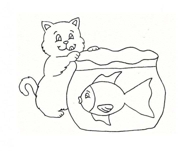 Kucing dengan Ikan Besar di Akuarium