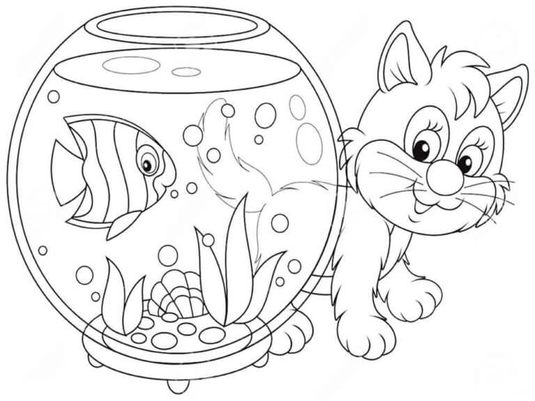 Kucing Lucu Dengan Akuarium