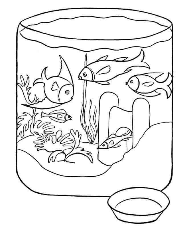 Lima Ikan di Akuarium