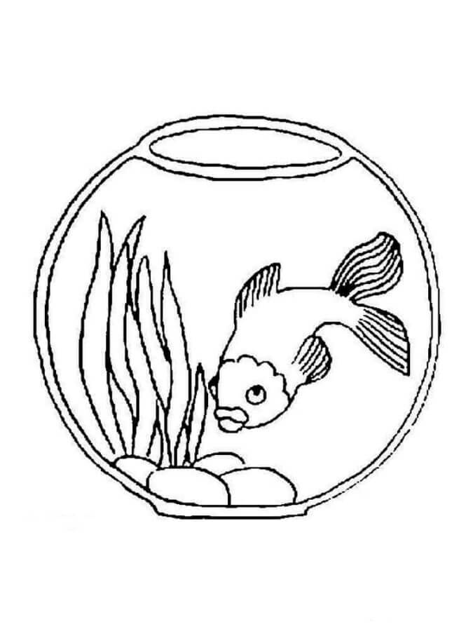 Menggambar Akuarium