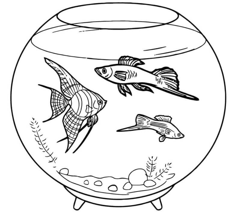 Penghuni Akuarium