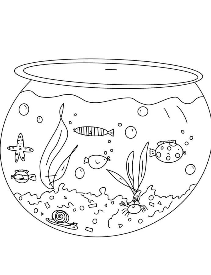 Penghuni Dasar Laut