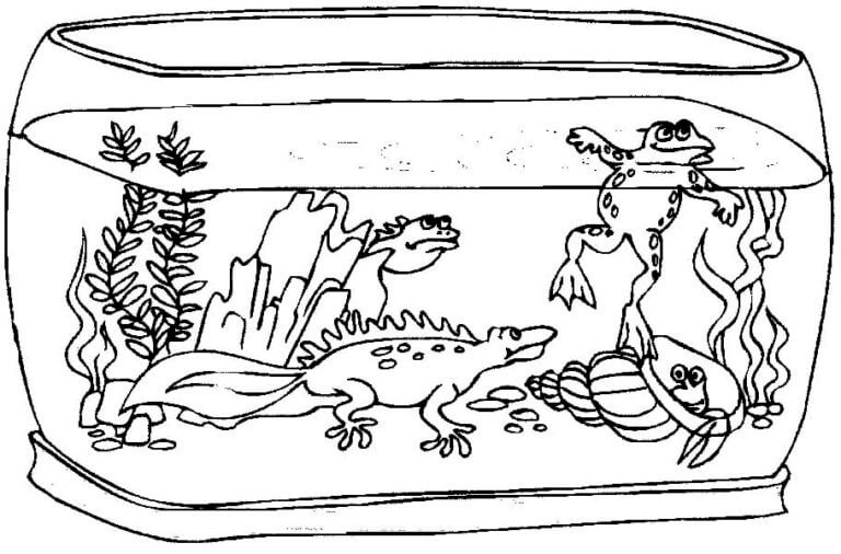Reptil di Akuarium