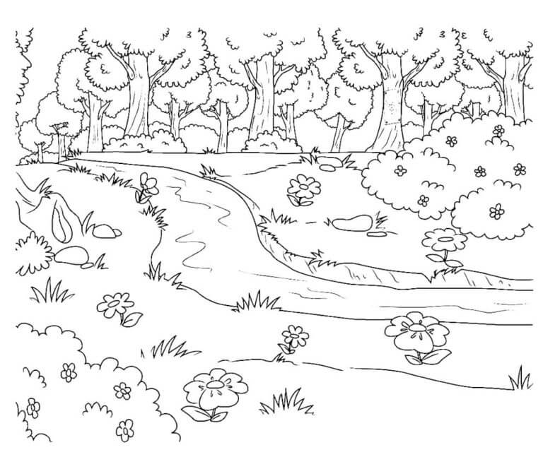 Sungai Di Hutan Lebat