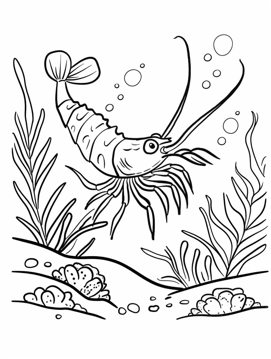 Udang berenang bebas