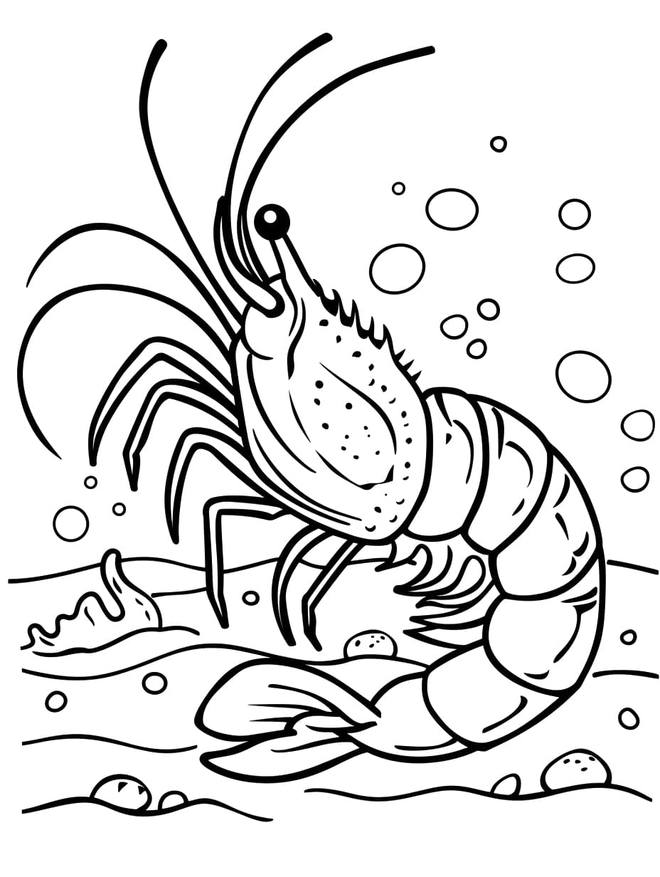 Udang Biasa