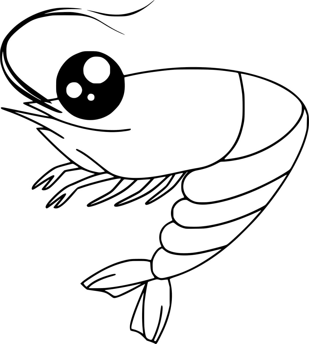 Udang Ceri