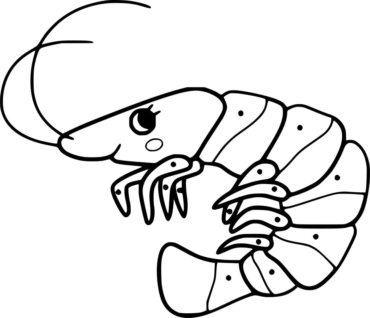 Udang Lucu