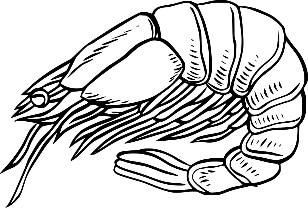 Udang Realistis