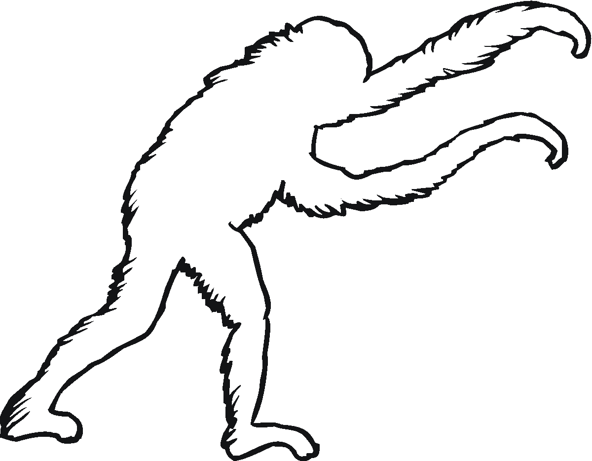 Garis besar orangutan