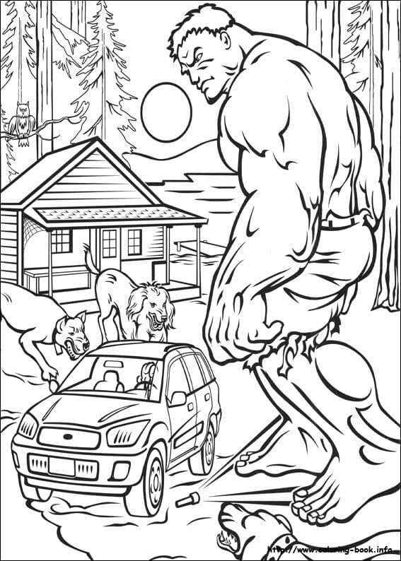 Hulk dan Rumah