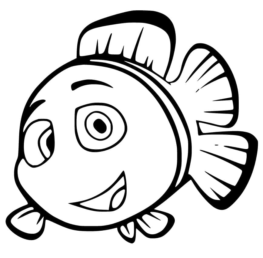 Ikan Badut Lucu