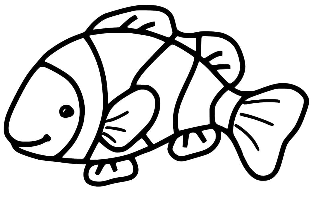 Ikan Badut Mudah