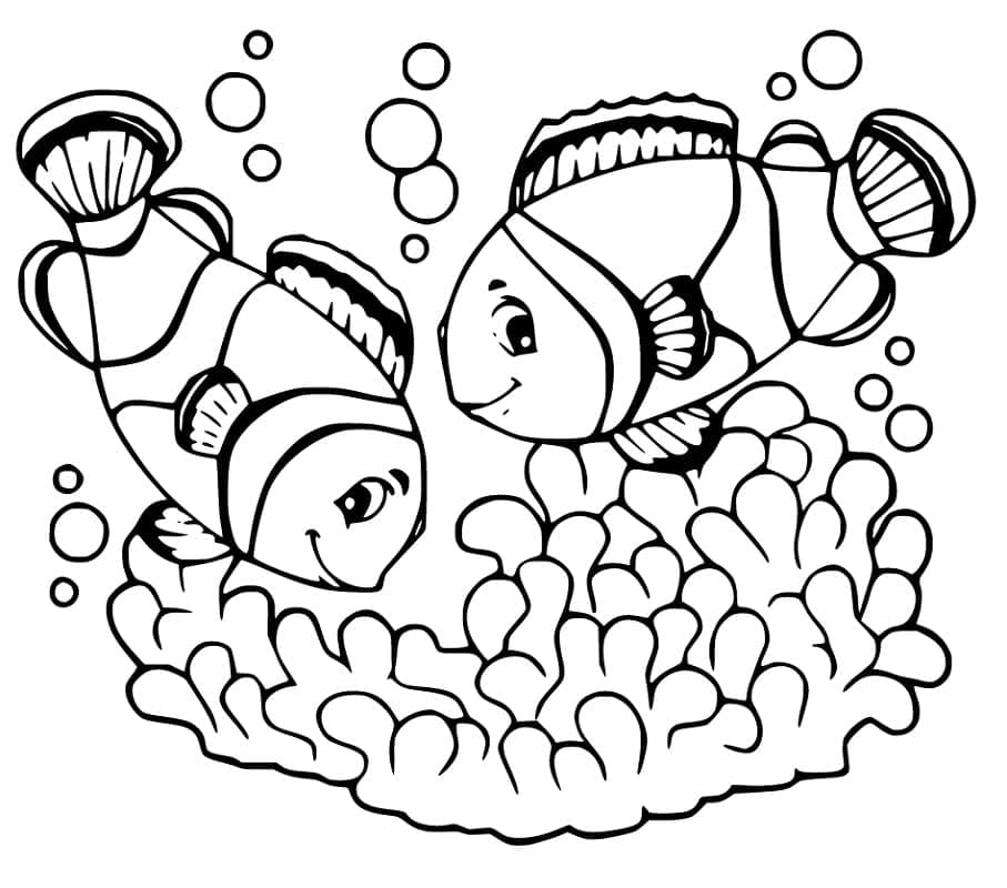 Ikan badut normal