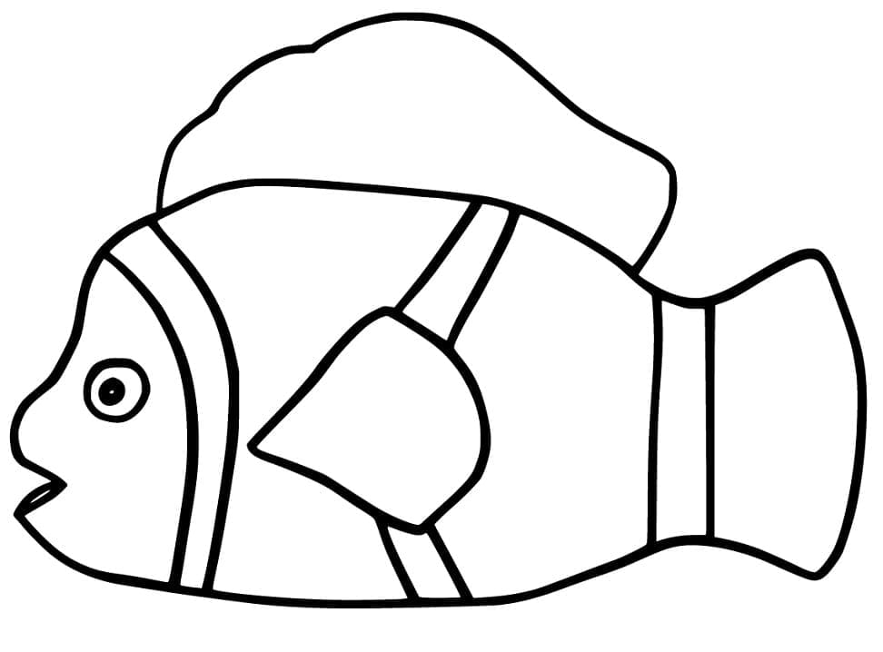 Ikan Badut Sederhana