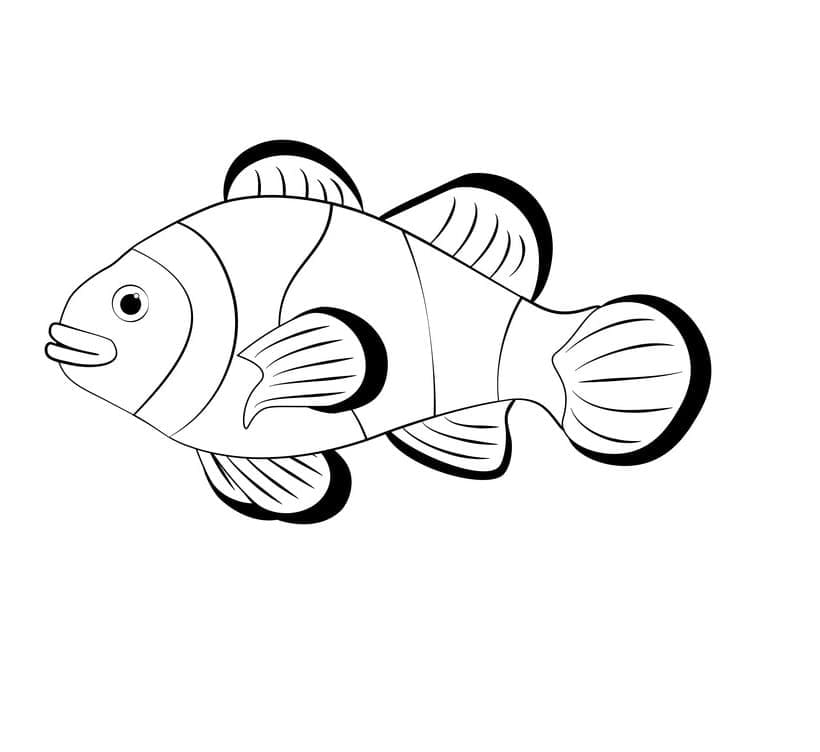 Ikan Badut yang Dapat Dicetak
