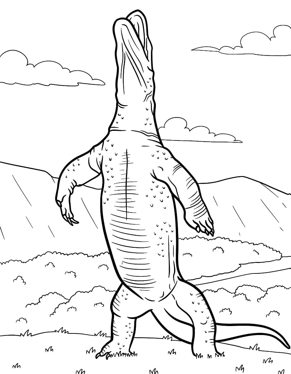 Komodo Berdiri