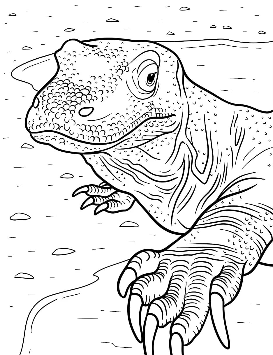 Komodo dari dekat