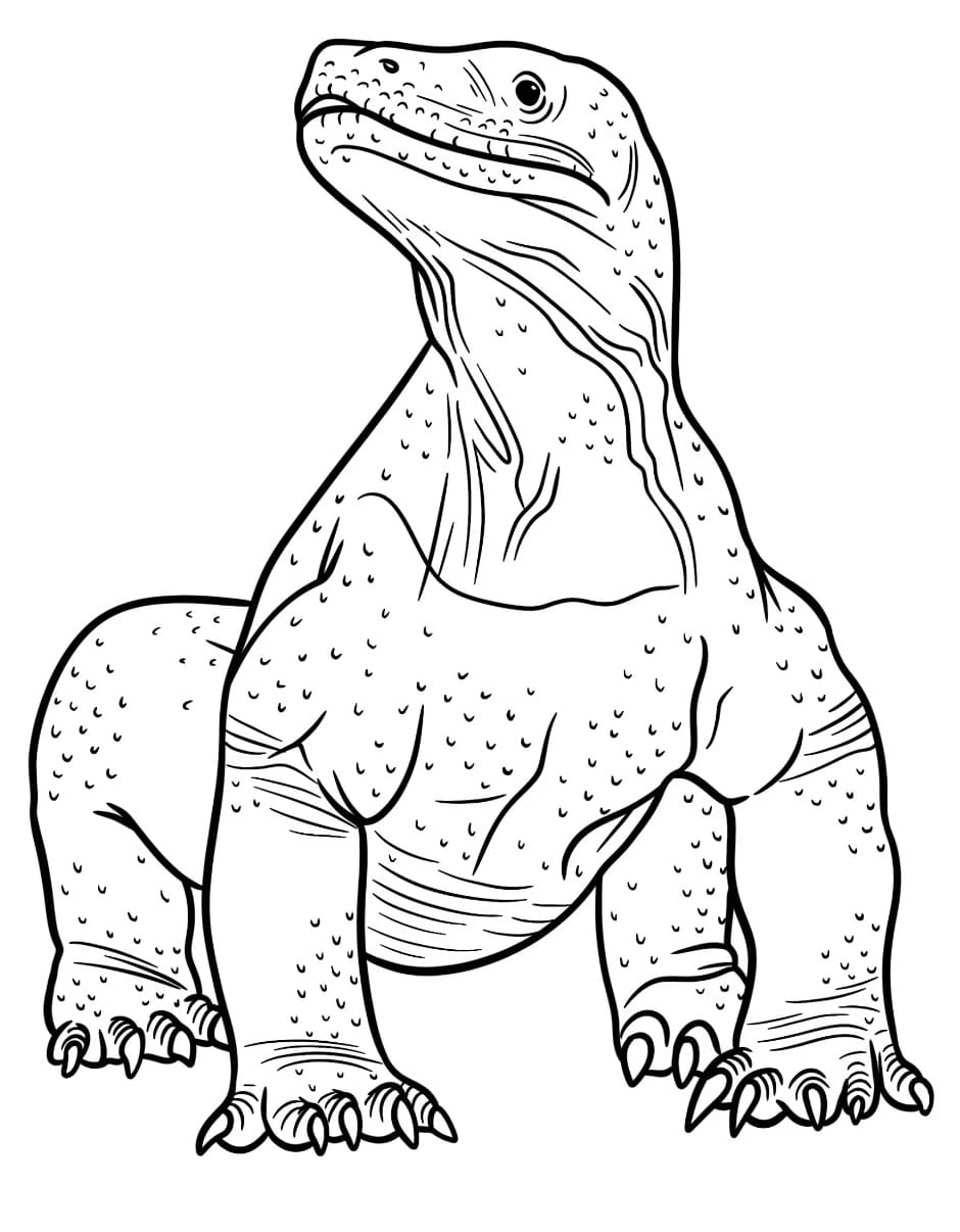 Komodo Secara Detail