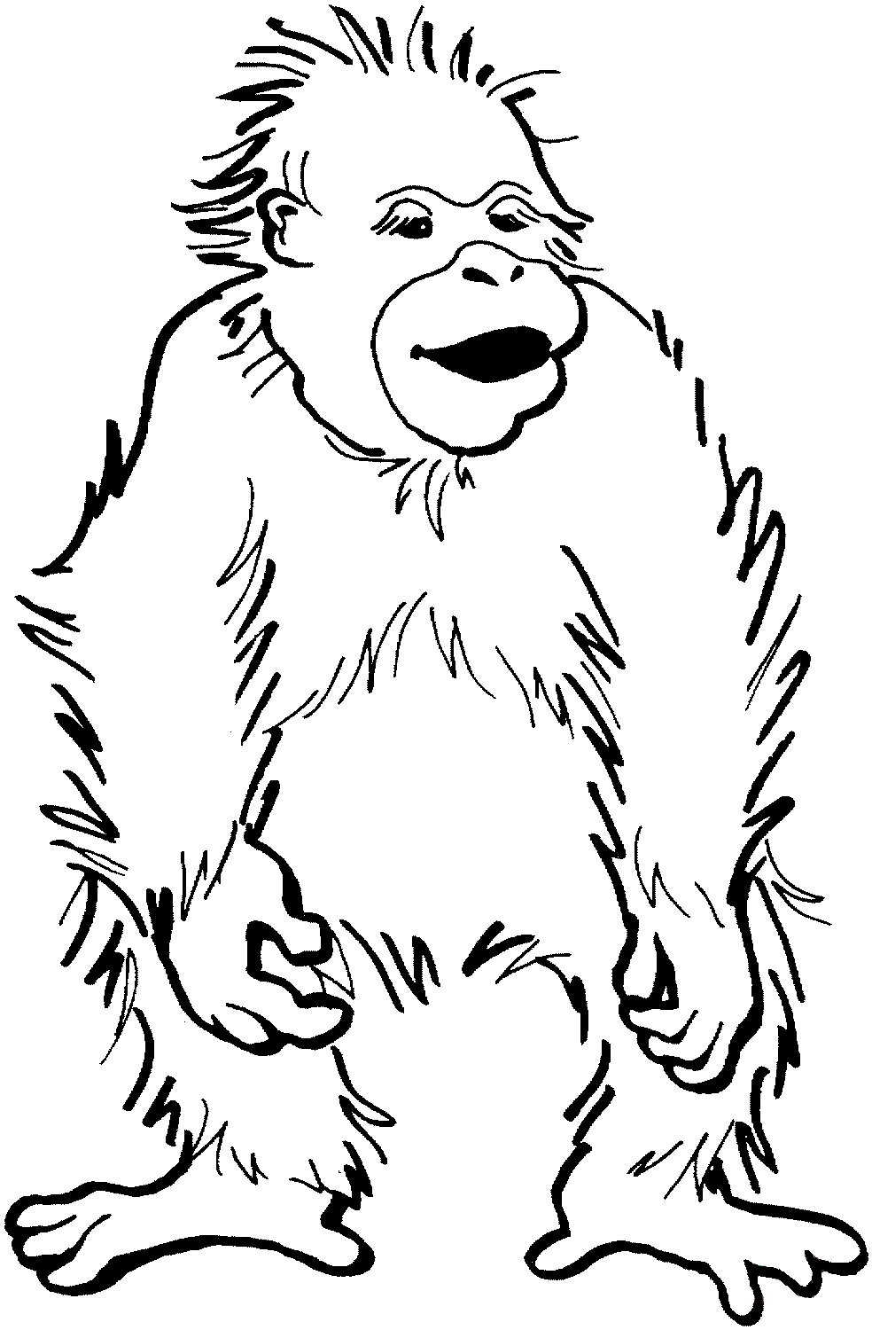 Orangutan sederhana