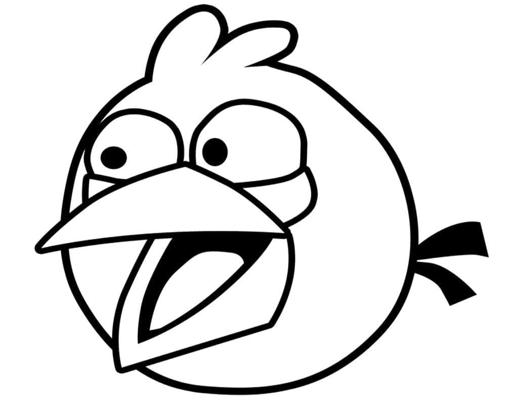 Angry Birds Jay
