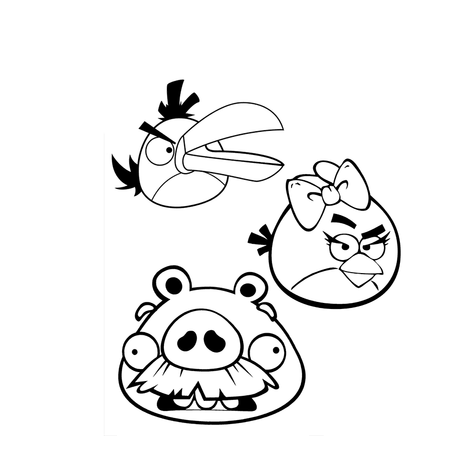 Angry Birds lucu
