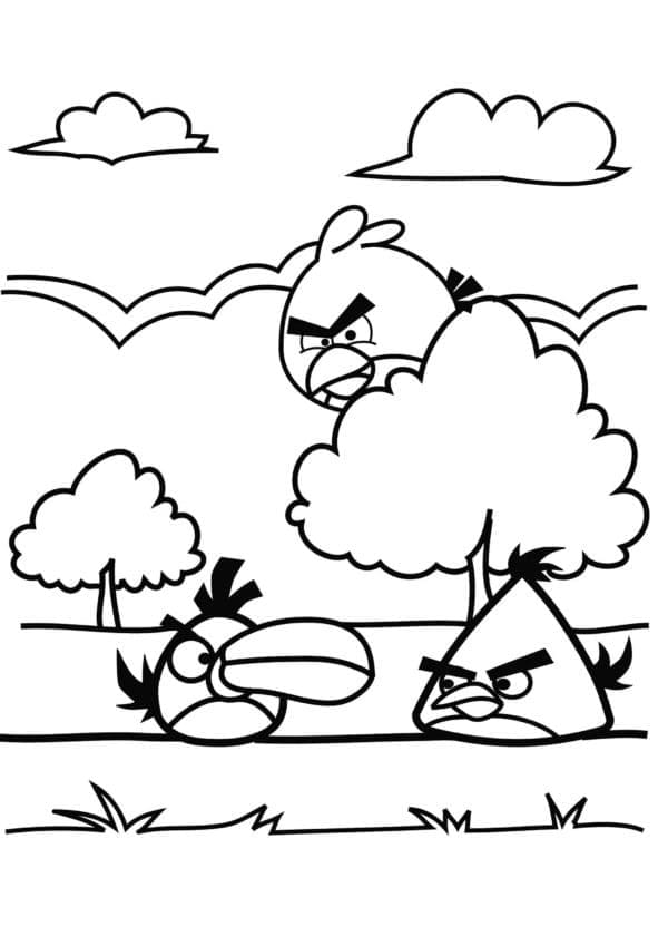 Angry Birds Tiga Burung
